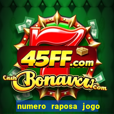 numero raposa jogo do bicho